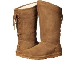 Bearpaw Phylly